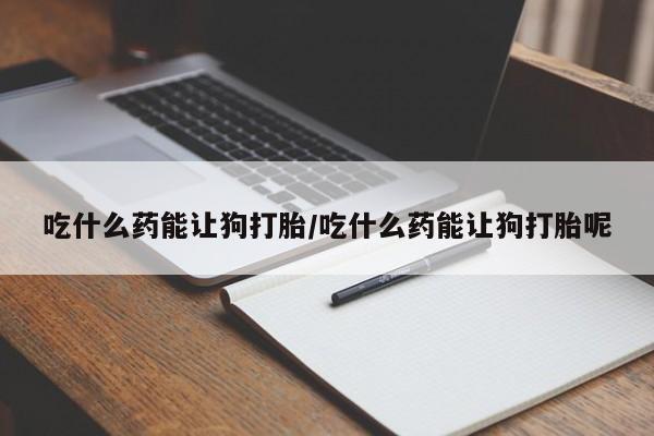 流产药怎么买吃什么药能让狗打胎/吃什么药能让狗打胎呢