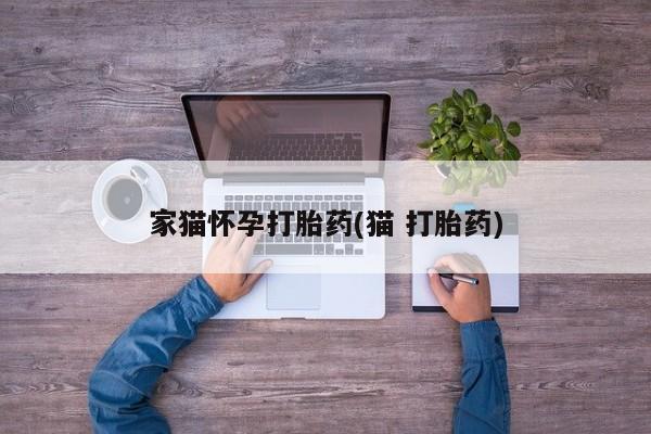 流产药怎么买家猫怀孕打胎药(猫 打胎药)