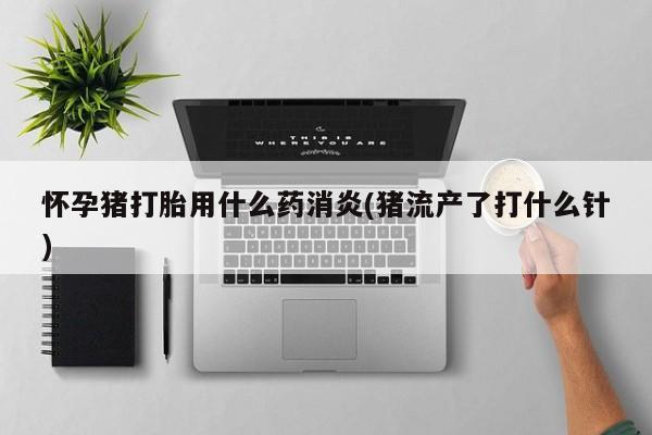 流产药怎么买怀孕猪打胎用什么药消炎(猪流产了打什么针)